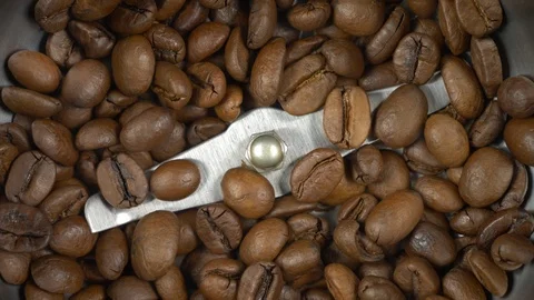 Electric coffee grinder works High angle view audio Stock Footage 101769867