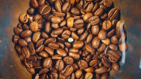Electric coffee grinder works High angle view audio Stock Footage 101769887