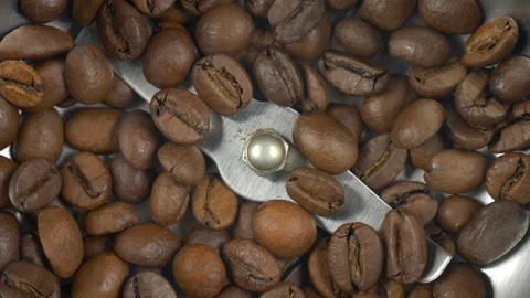 Electric coffee grinder works High angle view audio Stock Footage 101769893