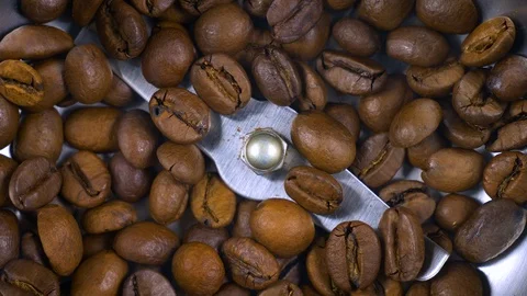 Electric coffee grinder works High angle view audio Stock Footage 101769897