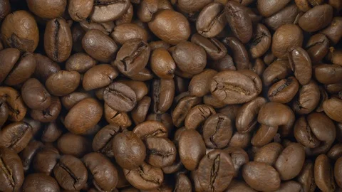 Electric coffee grinder works High angle view audio Stock Footage 101769909