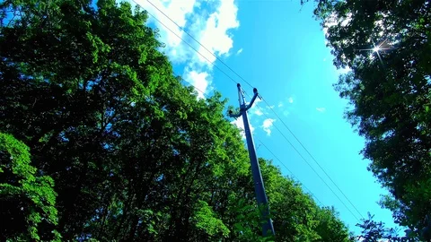 Electric Column in the Forest - Cables of electric Lines in a Forest Stock Footage 115659217