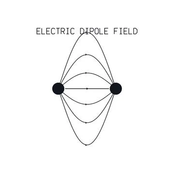Electric Dipole Field Lines Physics Diagram Filled Labeled Vector Education Ilustración de archivo