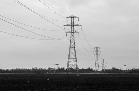 Electric Distribution Lines Stock Photos