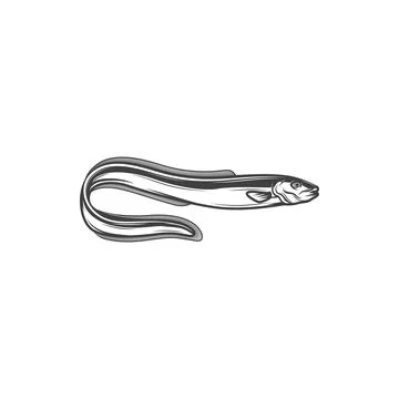 Electric eel isolated eel-shape underwater fish Stock Illustration