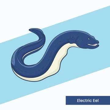 Electric Eel Vector Illustration - Unique Aquatic Predator Character - Amaz.. Stock Illustration