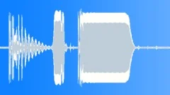 Electric Electric P.A. Mic Handling & Feedback Int Close Up Low PitchSound Effect