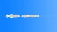 Electric Electric P.A. Mic Handling & Feedback Close Up Microphone Feedback InSound Effect