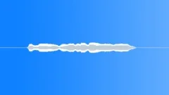 Electric Electric P.A. Mic Handling & Feedback Close Up Microphone Feedback InSound Effect