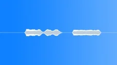 Electric Electric P.A. Mic Handling & Feedback Close Up Microphone Feedback InSound Effect