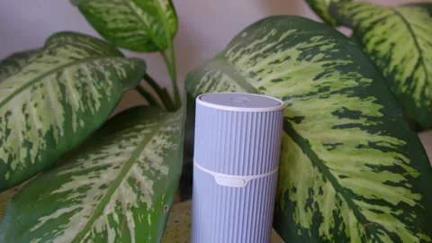 Electric Essential oils Aroma diffuser on light green plant background. Stock Footage 229542239