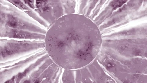 Electric event, equalizer and volume 스톡 동영상 198938259