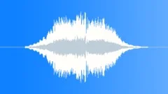 Electric explosion of terminatorSound Effect