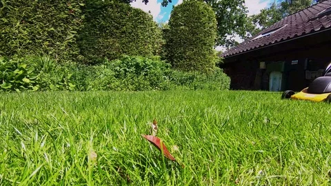 Electric grass cutting in the summer Video stock 109559956