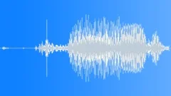 Electric Guitar Pickup SelectorSound Effect