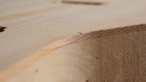 Electric guitar's body under construction Stock Footage 74186623
