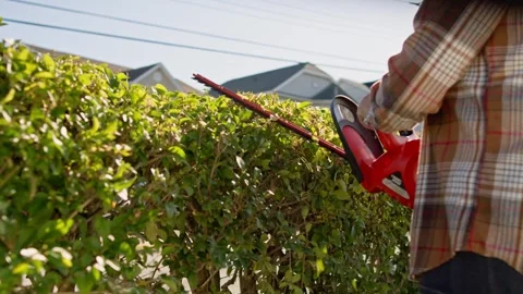 Electric Hedge Trimming In Green Backyard Under Bright Sun Stock Footage 319955041