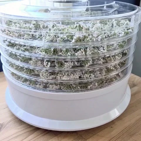 Electric herb dryer Stock Footage 221786730