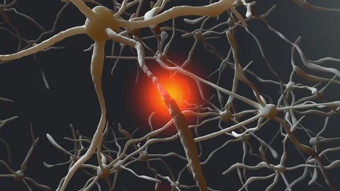 Electric impulse running through a neural network of brain cells Stock Footage 83061032
