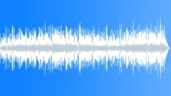 Electric Incidental Underscore for Superior TV Wildlife Shows Stock Music