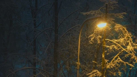 Electric lantern on pole at night during snowfalll against the snow covered tree 스톡 동영상 103665353