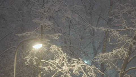 Electric lantern on pole at night during snowfalll against the snow covered tree Stock Footage 103791732