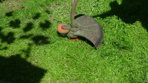 Electric lawn mower mows grass in backyard in summer. Lawn care Video stock 340331425