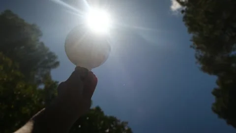 Electric light bulb held by a person's hand silhouette in the sun Stock Footage 240462101