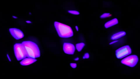 Electric light leak background. Vibrant colour changing lights circles abst.. Stock Footage 338301299