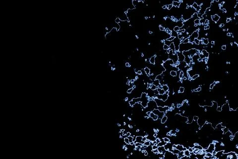 Electric lightning bolt effect on black background. Stock Photos