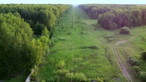 Electric line in the forest at sunset, the concept of electrification Stock Footage 204143439