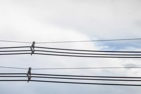Electric line Foto stock