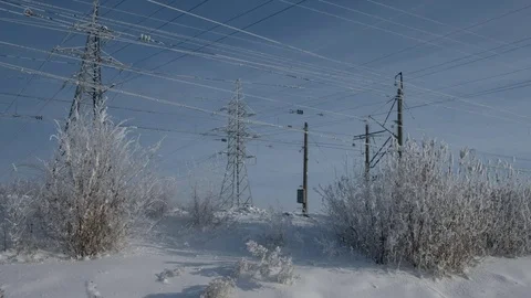 Electric Lines in Winter Stock Footage 71615059