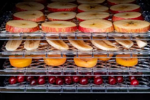 Electric machine for home drying and dehydration Stock Photos