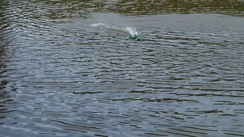 Electric model ship on the lake Stock Footage 109508008