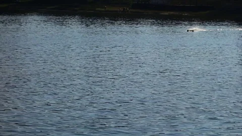 Electric model ship on the lake Stock Footage 111458892