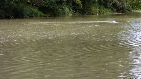 Electric model ship on the lake Stock Footage 120555239