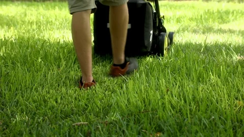 Electric Mower Cutting St. Augustine Grass Vídeos de archivo 121278101
