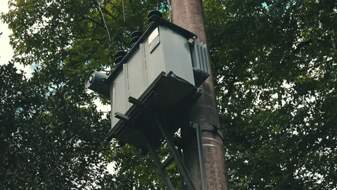 Electric network cabin hanging from a pole immersed in the trees in the wind Stock Footage 154265274