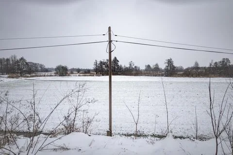 Electric path going through snow covered field covered with bushes 库存照片