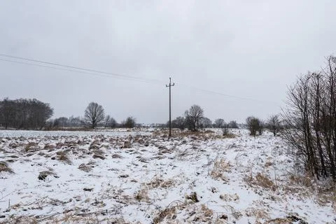 Electric path going through snow covered field covered with bushes Foto stock