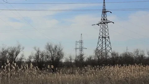 Electric pillars between trees Stock Footage 84722373