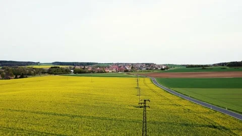 Electric pillars go across the rapeseed field towards the city Stock Footage 154371016