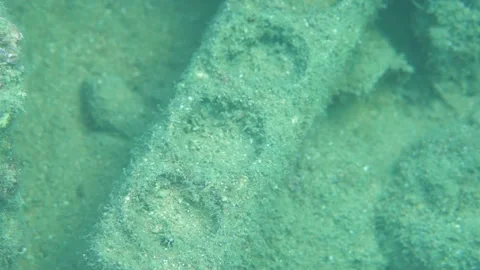 An Electric Plug Garbage, Close Up, Underwater Shot Stock Footage 145898971