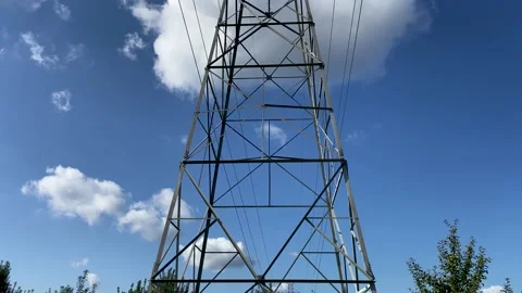 Electric pole in apple orchard Stock Footage 140759279