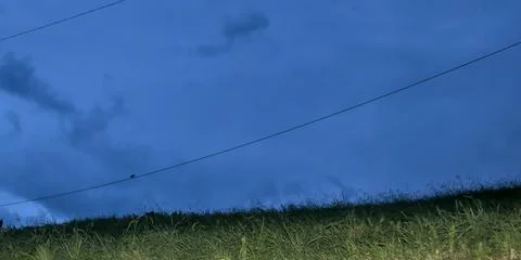 Electric pole with falcon posing Stock Photos