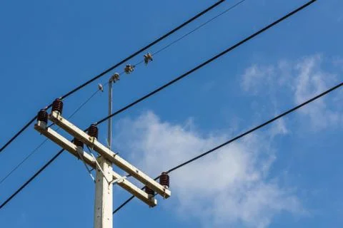 Electric pole Stockfoto's