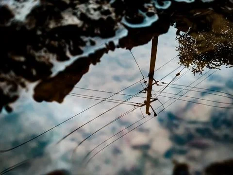 Electric pole reflection Stock Photos