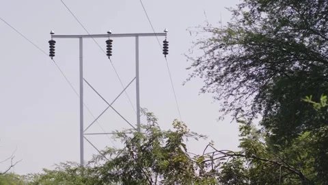 Electric pole with wild trees around on a sunny afternoon Stock Footage 281276106