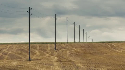 Electric poles in a field Stock Footage 83678258